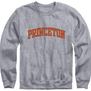 Princeton heather gray Champion hoodie